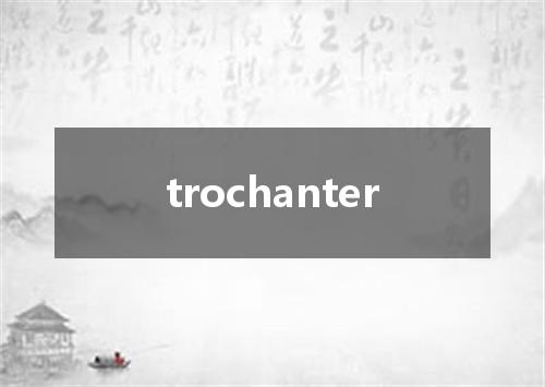 trochanter是什么意思