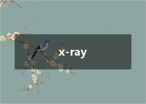 x-ray是什么意思