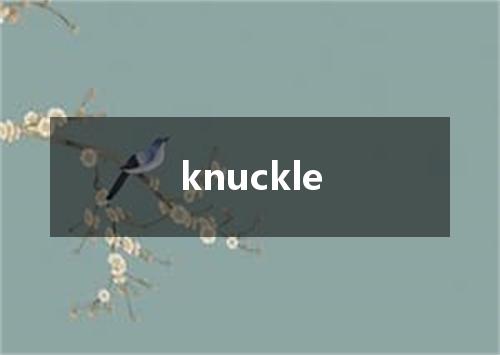 knuckle是什么意思