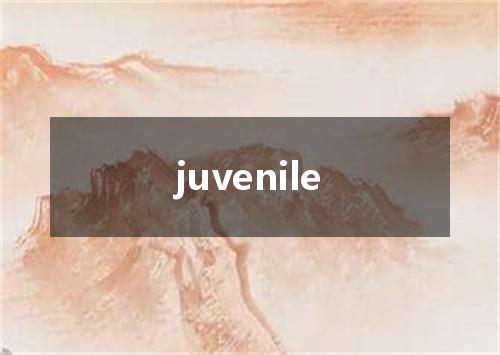 juvenile是什么意思