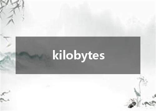 kilobytes是什么意思