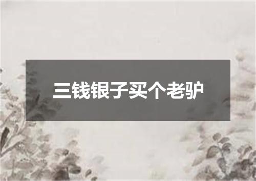 三钱银子买个老驴