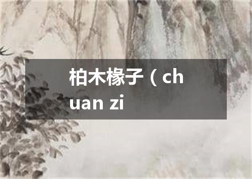 柏木椽子（chuan zi