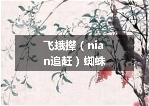 飞蛾撵（nian追赶）蜘蛛