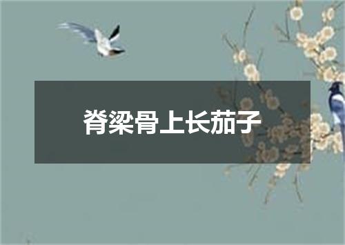 脊梁骨上长茄子