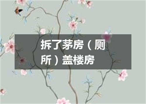 拆了茅房（厕所）盖楼房