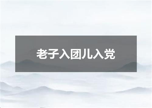老子入团儿入党