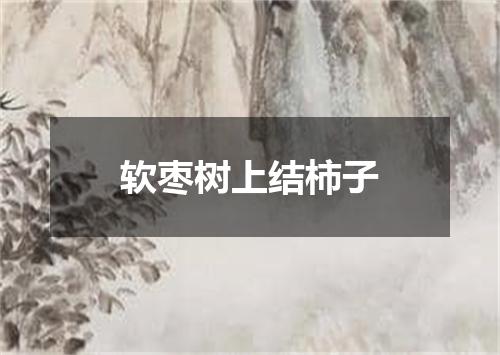 软枣树上结柿子