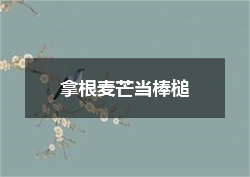 拿根麦芒当棒槌