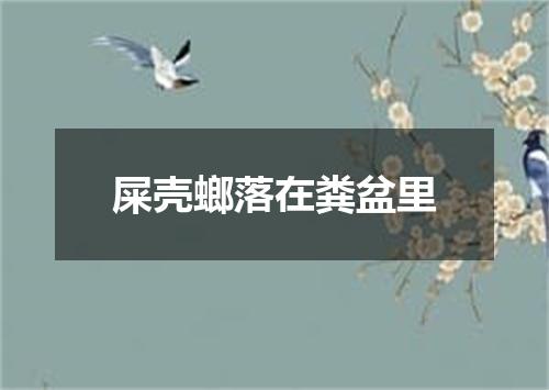 屎壳螂落在粪盆里