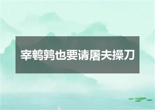 宰鹌鹑也要请屠夫操刀