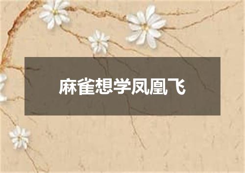 麻雀想学凤凰飞