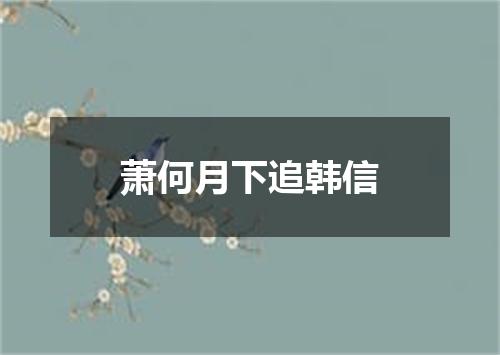 萧何月下追韩信