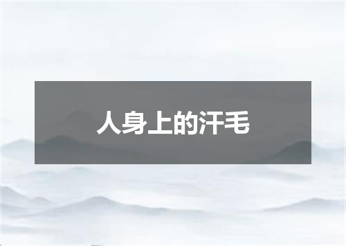 人身上的汗毛