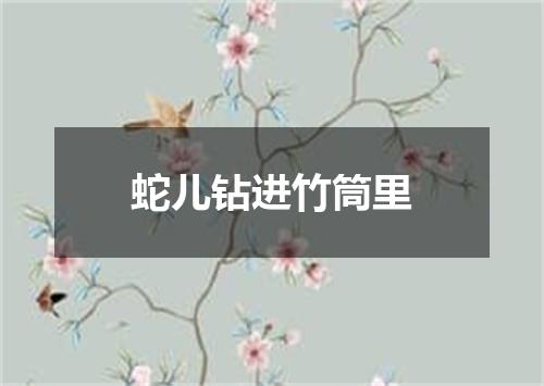 蛇儿钻进竹筒里