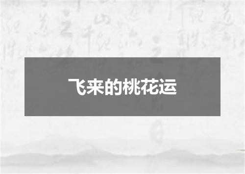 飞来的桃花运