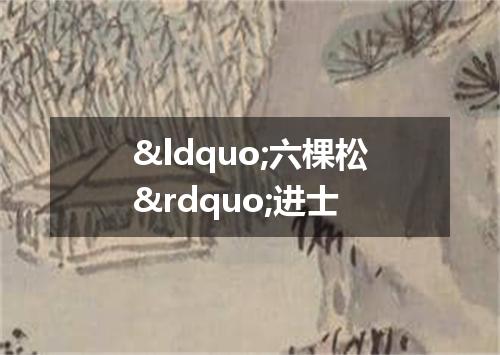 &ldquo;六棵松&rdquo;进士