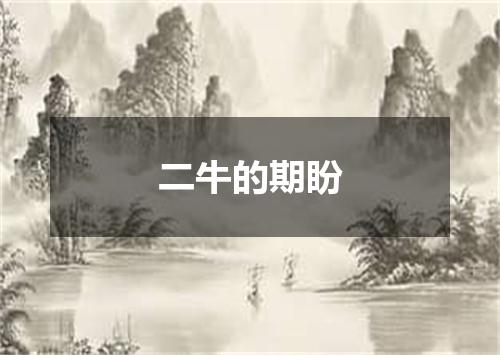 二牛的期盼