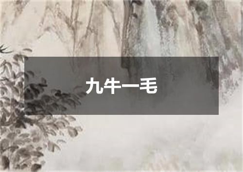 九牛一毛