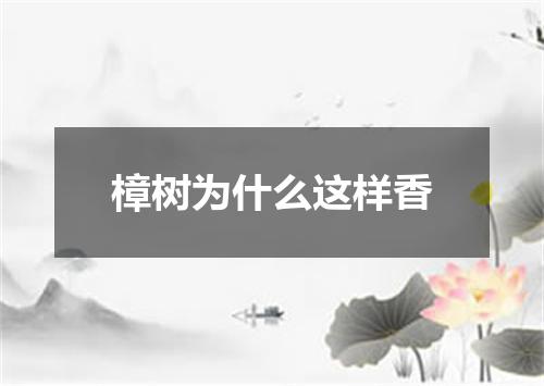樟树为什么这样香