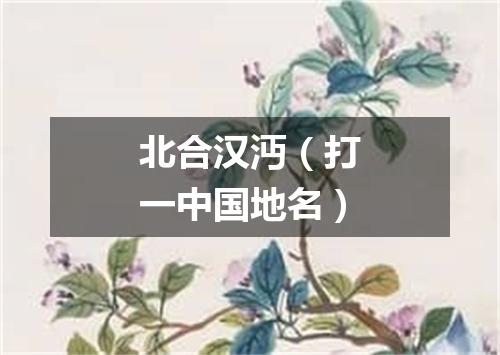 北合汉沔（打一中国地名）
