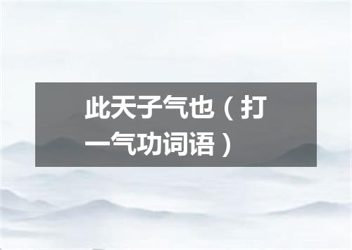 此天子气也（打一气功词语）