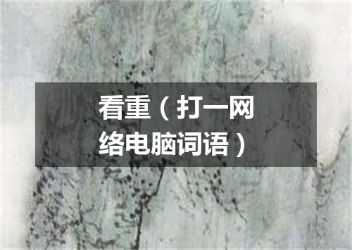 看重（打一网络电脑词语）