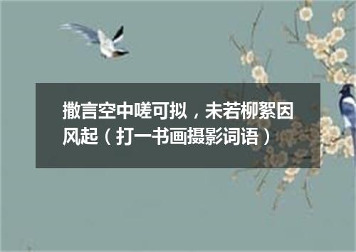 撒言空中嗟可拟，未若柳絮因风起（打一书画摄影词语）