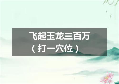 飞起玉龙三百万（打一穴位）