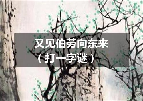 又见伯劳向东来（打一字谜）