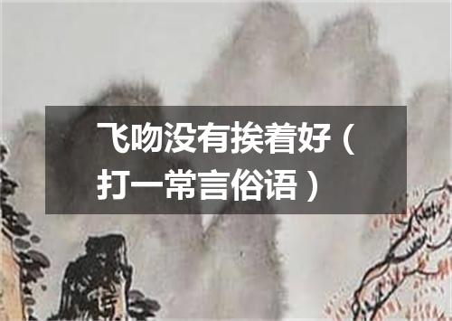 飞吻没有挨着好（打一常言俗语）
