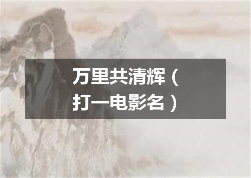 万里共清辉（打一电影名）