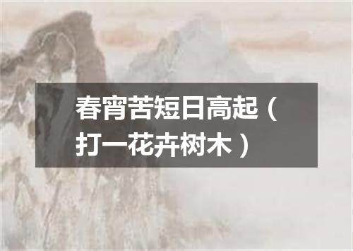 春宵苦短日高起（打一花卉树木）