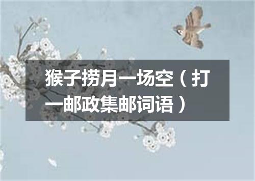 猴子捞月一场空（打一邮政集邮词语）