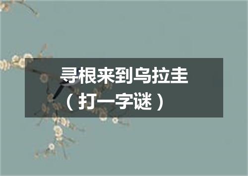 寻根来到乌拉圭（打一字谜）