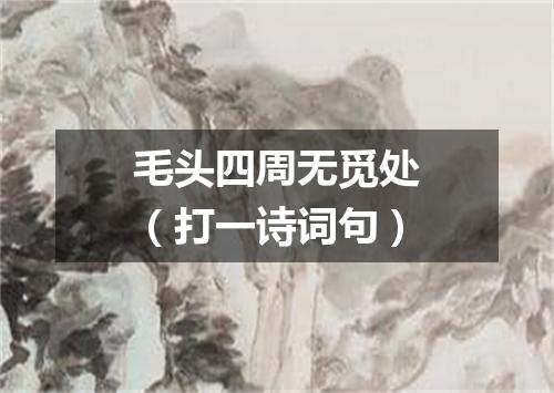 毛头四周无觅处（打一诗词句）