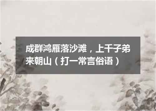 成群鸿雁落沙滩，上千子弟来朝山（打一常言俗语）