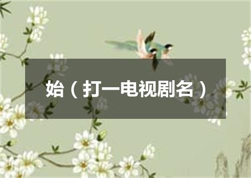 始（打一电视剧名）