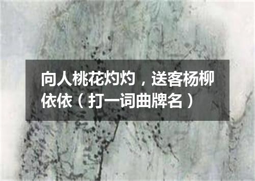 向人桃花灼灼，送客杨柳依依（打一词曲牌名）
