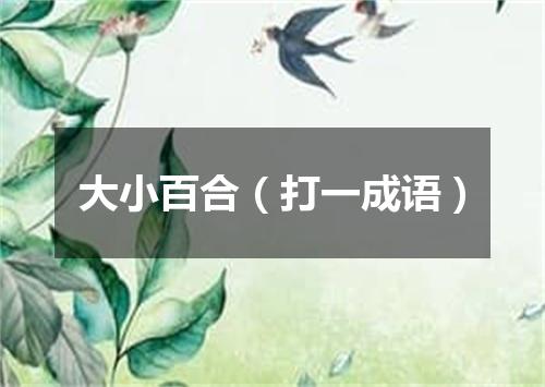 大小百合（打一成语）
