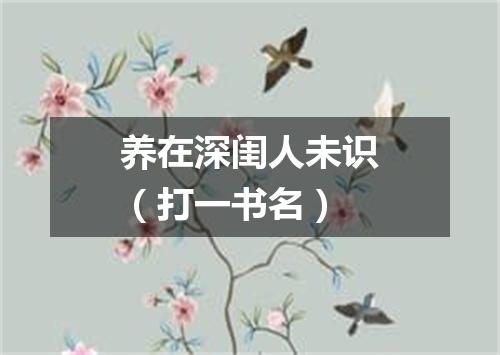 养在深闺人未识（打一书名）
