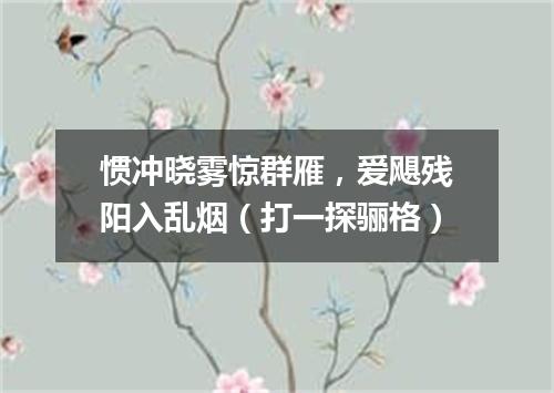 惯冲晓雾惊群雁，爱飓残阳入乱烟（打一探骊格）