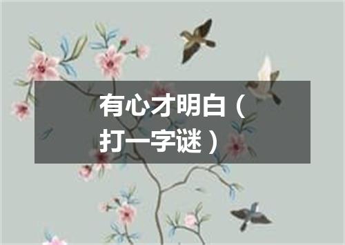 有心才明白（打一字谜）