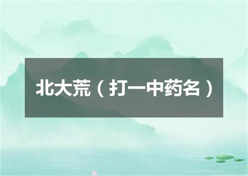 北大荒（打一中药名）