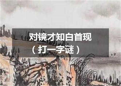 对镜才知白首现（打一字谜）