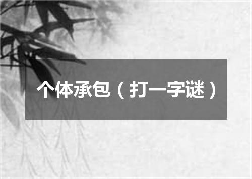 个体承包（打一字谜）