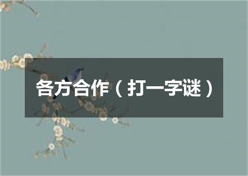 各方合作（打一字谜）