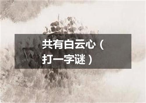 共有白云心（打一字谜）