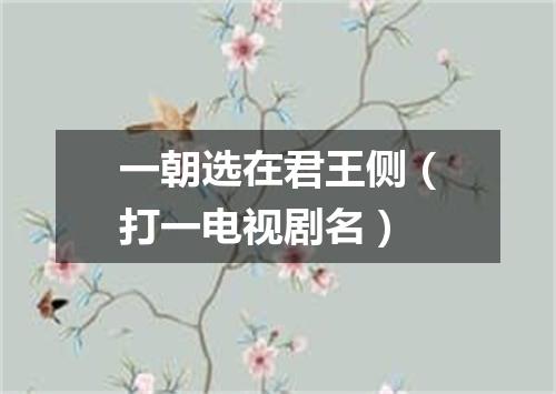 一朝选在君王侧（打一电视剧名）
