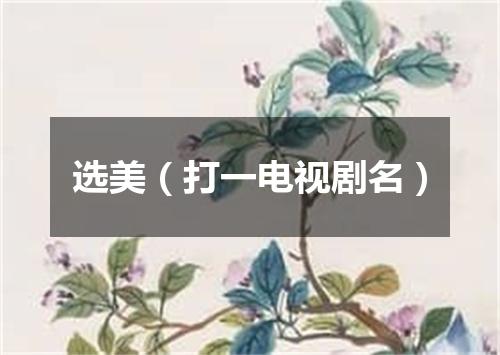选美（打一电视剧名）